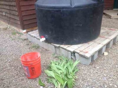 3 Fertilizer Teas for Plants Image